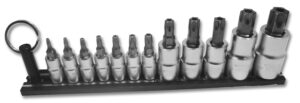 Elite 12pc. TR Torx Tamper Resistant Set, TR8 Thru TR60, packaged on Black Magrail